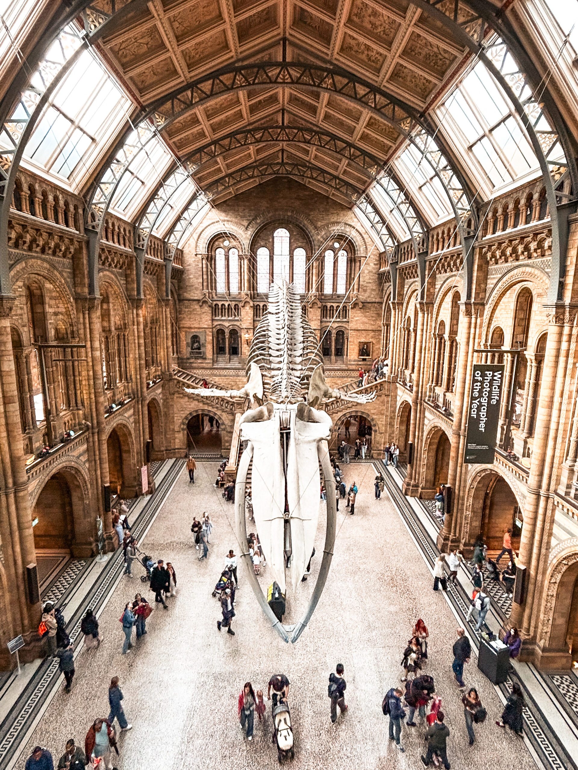 Gallery Item Name